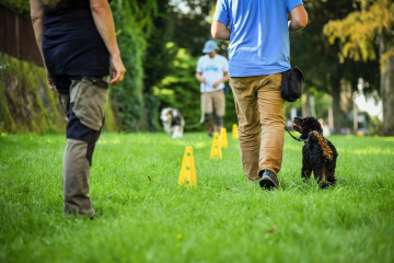 Hundeschule-Gruppenkurse_2023_001Junghunde