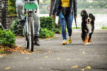 Hundeschule-Gruppenkurse_2023_073