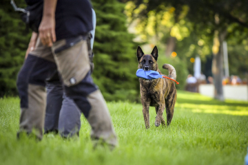 Hundeschule-Gruppenkurse_2023_027